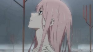 Любимый во Франксе {AMV} - Lovely