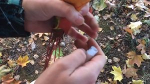Осенняя композиция | Букет из листьев