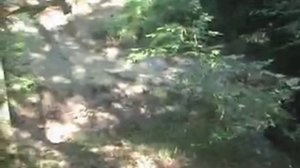 джипинг в Адлере (1).mp4