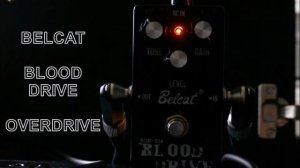 Belcat Blood Drive Overdrive / Distortion Guitar Effect Pedal Demo
