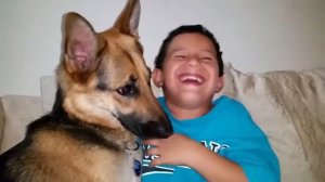 Baby Playing with German Shepherd Dog