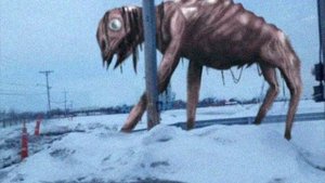 является ли большой чарли scp???