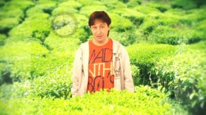 Тема14. Интервью или видеообращение