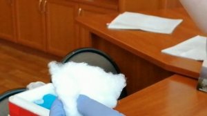 Методика забора мазков на COVID-19