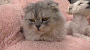 ВЫБРАЛИ ИМЯ ДЛЯ ДОЧИ | Мы уходим с ютуба?