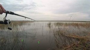 Рыбалка на карася в с. Надеждино Омской обл.