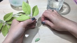 ЛИСТЬЯ, ВЕТОЧКИ РОЗЫ | ФОАМИРАН | ХОЛОДНЫЙ ФАРФОР