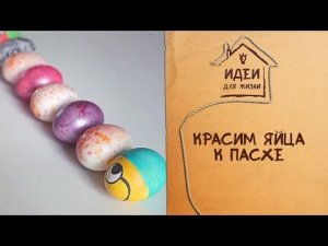 Красим яйца к Пасхе [Идеи для жизни]