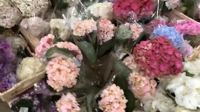 Цветочный оптовый склад в Краснодаре