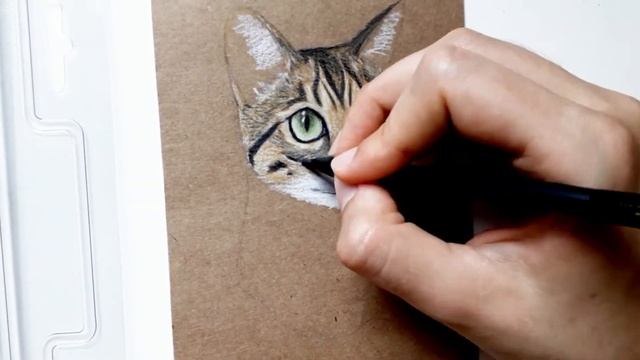 COMO FAZER UM DESENHO DE UM GATO REALISTA Passo a passo - LÁPIS DE COR SUPER SOFT - TUTORIAL смотреть онлайн