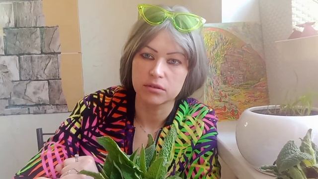 Око́пник лека́рственный от лат. Sýmphytum officinále #цветы #Око́пник #свойства #весна смотреть онлайн