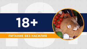 Что вкусного готовят вегетарианцы? Про отказ от мяса, альтернативный белок и мировоззрение