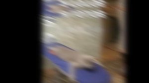 ♪/гача клип:Echo /на русском/♪