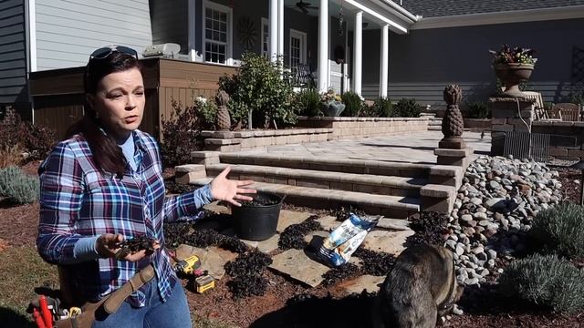 A Gorgeous New Agastache & Dividing Ajuga | Gardening with Creekside смотреть онлайн