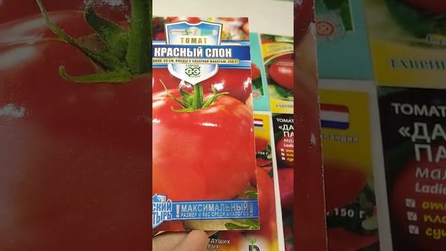 Детерминантные томаты