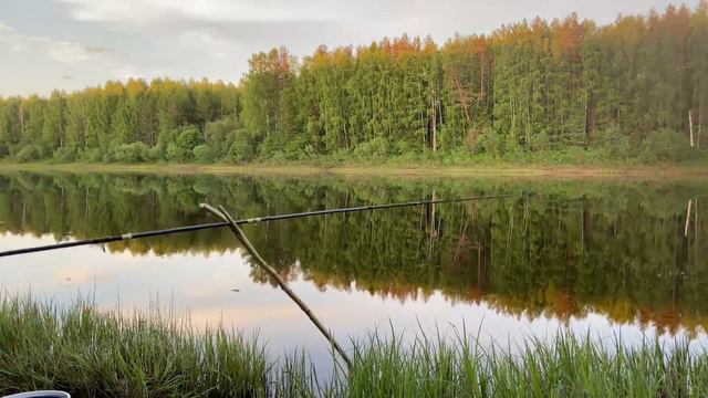 Уклейка берёт на опарыша, только успевай дёргать. смотреть онлайн