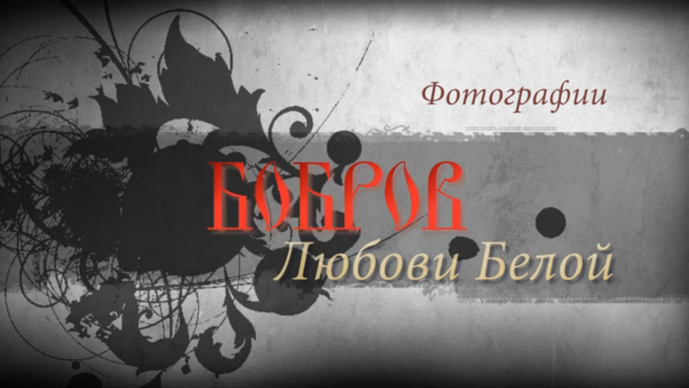 БОБРОВ смотреть онлайн