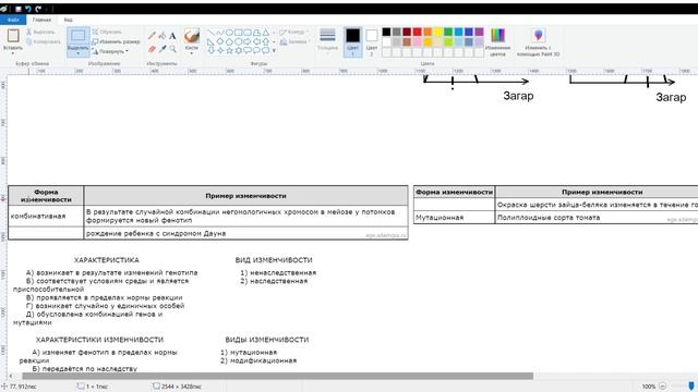 Формы изменчивости + разбор заданий (Комбинативная, мутационная, модификационная, норма реакции) смотреть онлайн