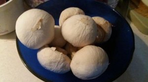 Пицца с грибами