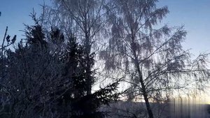 Деменция. Один заболевший меняет жизнь всей семьи.