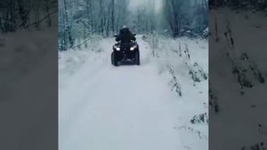 Квадроциклы