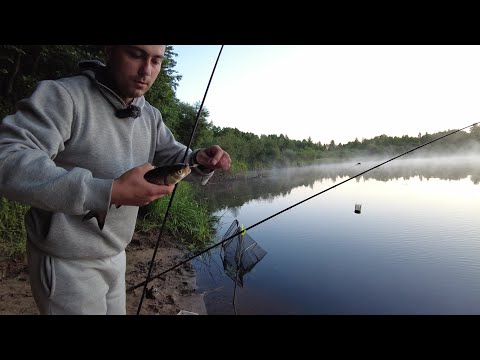 Рыбалка на Березине. Фидер. ОТДЫХ НА ПРИРОДЕ.