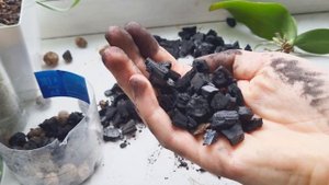 🚫ЗАБУДЬТЕ про Корневую Гниль Орхидей, Посадив их в уголь! Это лучший орхидейный грунт.