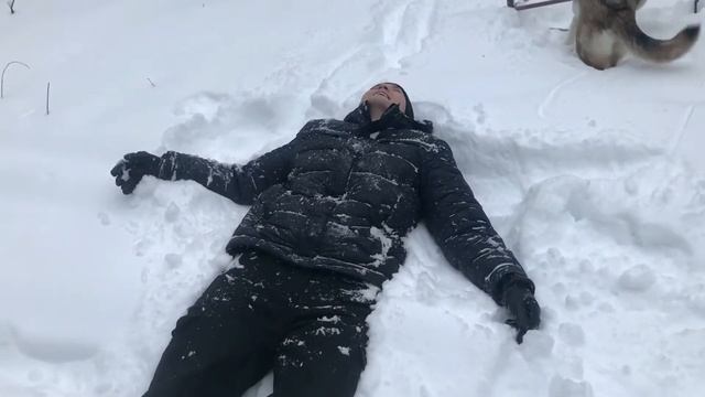 КАК СДЕЛАТЬ СОБАК СЧАСТЛИВЫМИ смотреть онлайн