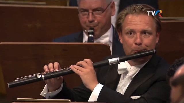 Brahms’s 1st Symphony, Finale Horn Solo смотреть онлайн
