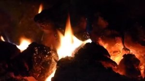 ?Расслабьтесь У Костра В Темном Лесу И Слушайте Звуки Диких Животных | Музыка для Сна и Медитации?