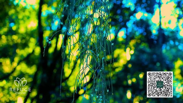 Calm piano music for relaxation, meditation, and sleep. смотреть онлайн