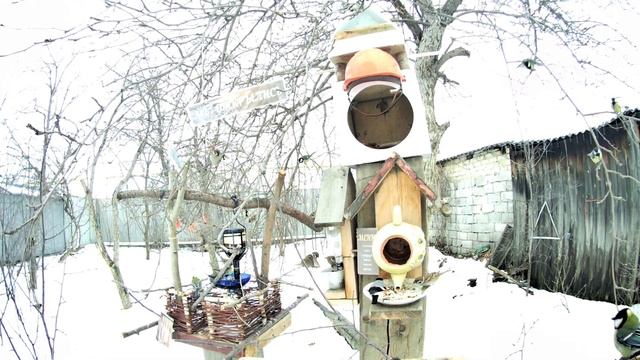 Кормушки для птиц своими руками смотреть онлайн