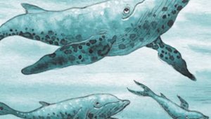 Кит плывёт на север. Анастасия Строкина. Чудо Радио