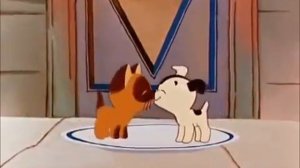 'Котёнок по имени Гав'  середина сосиски