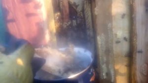 Мед из колоды