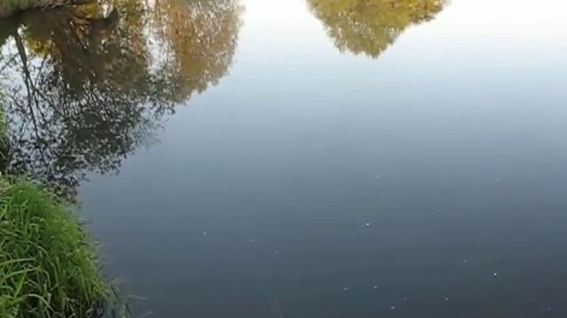 4) На реке Тьме -там же , на след день смотреть онлайн