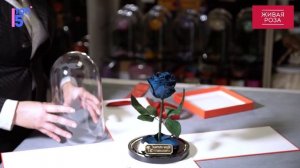 Живая роза в колбе