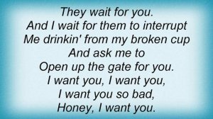 Sophie B. Hawkins - I Want You Lyrics