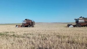 Вектор-410 убирают ячмень