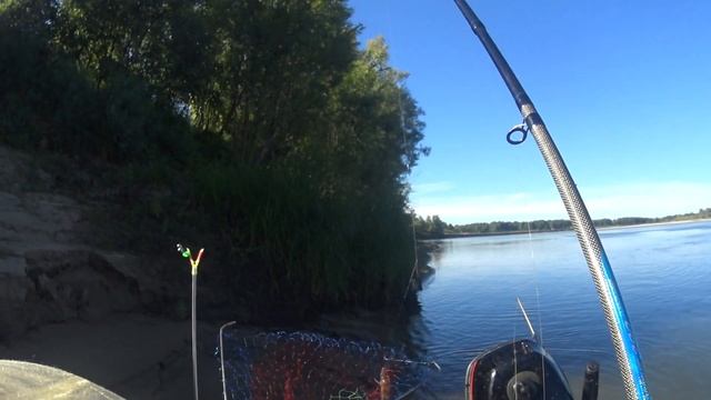 Рыбалка на фидер или лещи и окуни ломают мои палки! смотреть онлайн