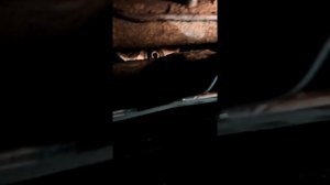 замена эластичных муфт эстима эмина 3ct часть 2