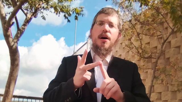 rav Pinhas Zaltsman. PARSHAT TOLDOT. רב פינחס זלצמן. פרשת תולדות #zaltsman смотреть онлайн