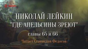 Николай Лейкин. «Где апельсины зреют». Аудиокнига. Главы 65-66