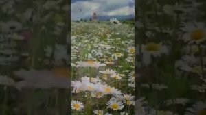 слево горы справо горы а в дали кавказ