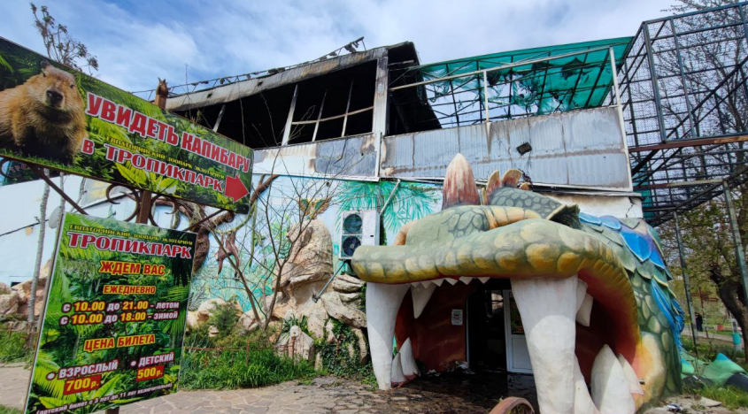 Более 200 животных погибли при пожаре в зоопарке в Евпатории