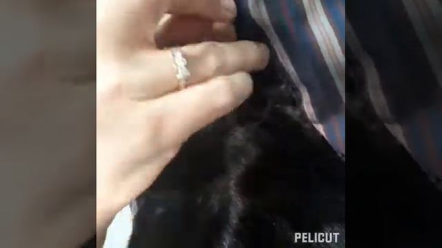 КАК ПРАВИЛЬНО ПРИШИТЬ ПОДКЛАД К НОРКОВОЙ ШУБЕ.ШЬЕМ САМИ. СКОРНЯЖНЫЕ РАБОТЫ.КУРСЫ СКОРНЯКОВ смотреть онлайн