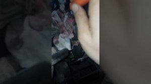 замена масла в двигателе, автомобиль джентра.