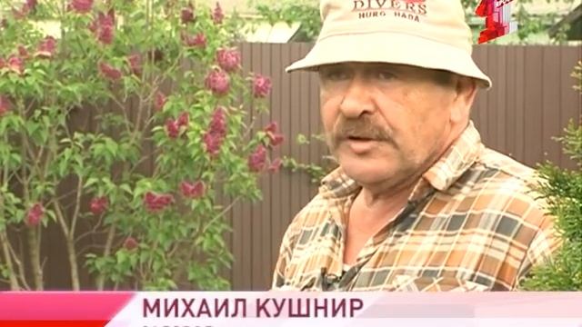 Как ухаживать за садовой сиренью смотреть онлайн