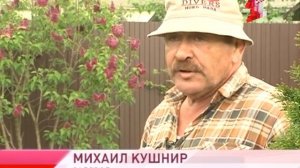 Как ухаживать за садовой сиренью