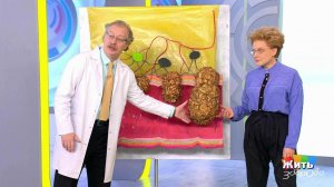 Мифы и правда о запорах. Жить здорово! Фрагмент выпуска от 21.11.2018